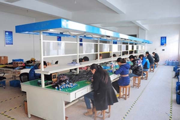 Chine YUEQING  WINSTON  ELECTRIC  CO.,LTD. Profil de la société